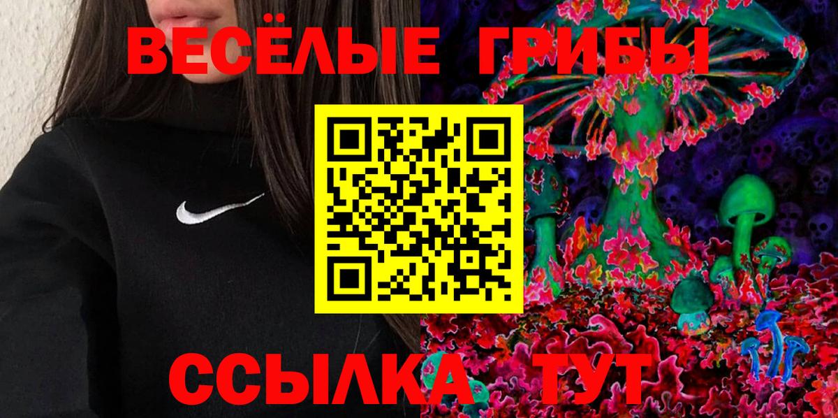Псилоцибиновые грибы Cubensis  Вход с VPN  Тула 
